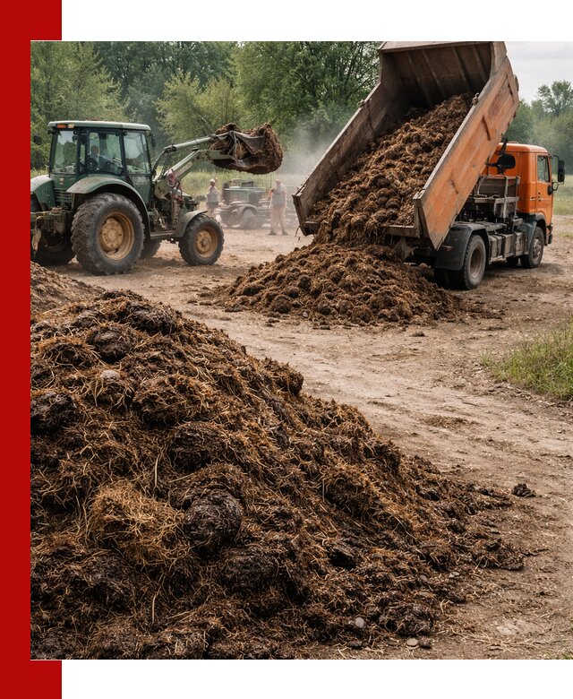 Доставка навоза самосвалами в Алейске для сельхозпотребностей